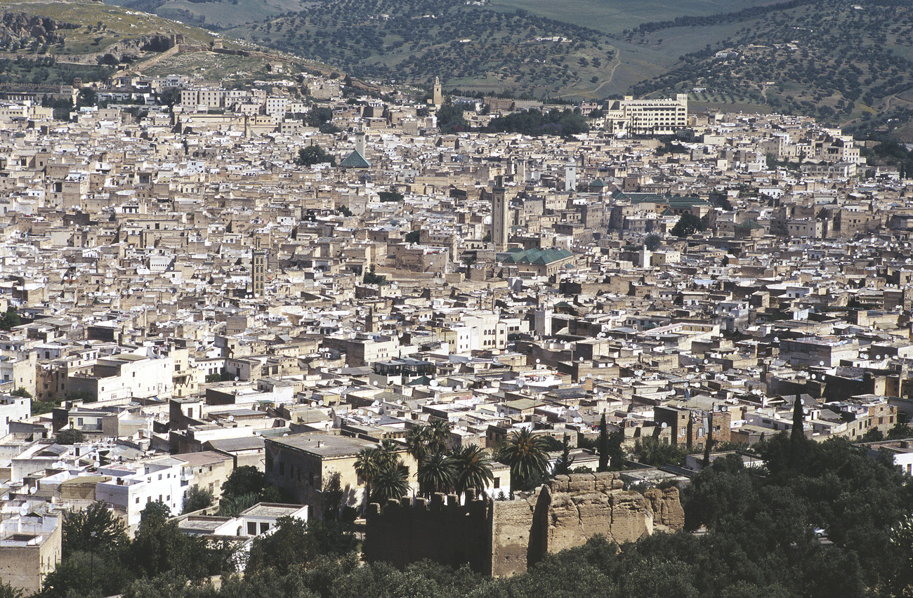 mar02_04_16 fez depuis sud.jpg - Moyen Atlas, mai-2002  Fes détail de Fes-el-Bali et remparts vus du sud Provia 100 F